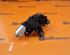 Wiper Motor VW TOURAN (1T1, 1T2)