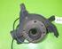 Stub Axle FIAT BRAVO II (198_)