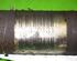 Drive Shaft RENAULT Laguna II Grandtour (KG0/1), RENAULT Laguna II (BG0/1)