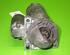 Startmotor OPEL VECTRA C Estate (Z02), OPEL SIGNUM Hatchback (Z03)