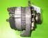 Alternator RENAULT 19 I (B/C53)