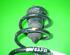 Coil Spring FIAT Punto (188), FIAT Punto Kasten/Schrägheck (188)