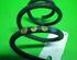 Coil Spring VW Polo (9N)