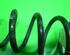 Coil Spring PEUGEOT 406 (8B)