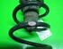 Coil Spring FIAT Punto (188), FIAT Punto Kasten/Schrägheck (188)