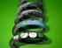 Coil Spring MERCEDES-BENZ 190 (W201)