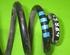 Coil Spring AUDI A4 (8EC, B7)