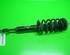 Suspension Strut AUDI A4 Avant (8D5, B5), VW Passat Variant (3B5)