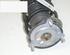 Suspension Strut PEUGEOT 407 (6D)