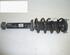 Suspension Strut PEUGEOT 407 (6D)