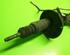 Suspension Strut RENAULT Kangoo (KC0/1)