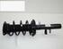 Suspension Strut FORD C-Max II (DXA/CB7, DXA/CEU)