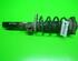 Suspension Strut SKODA Roomster (5J)