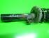 Suspension Strut SKODA Roomster (5J)