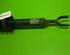 Suspension Strut AUDI A6 Avant (4F5, C6)