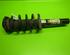 Suspension Strut VW Touran (1T1, 1T2), VW Touran (1T3)