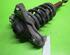 Suspension Strut AUDI A4 Avant (8E5, B6)