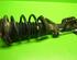 Suspension Strut LAND ROVER Freelander (LN), LAND ROVER Freelander Soft Top (LN)