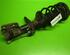 Suspension Strut LAND ROVER Freelander (LN), LAND ROVER Freelander Soft Top (LN)