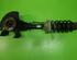 Suspension Strut AUDI A3 (8L1)