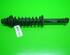 Suspension Strut SEAT IBIZA II (6K1)