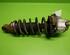 Suspension Strut VOLVO V70 II (285), VOLVO XC70 CROSS COUNTRY (295)