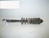 Shock Absorber VW Golf III (1H1)