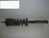 Shock Absorber VW Golf III (1H1)