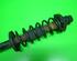 Shock Absorber VW Golf III (1H1)