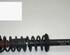 Shock Absorber SEAT Ibiza II (6K1)