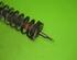 Shock Absorber SEAT Ibiza II (6K1)