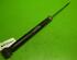 Shock Absorber FIAT Stilo (192)