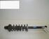 Shock Absorber VW VENTO (1H2)