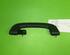 Grab Handle BMW 5 (F10)