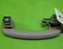 Grab Handle VW GOLF VII (5G1, BQ1, BE1, BE2)