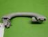 Grab Handle VW GOLF V (1K1), VW GOLF VI (5K1)