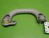 Grab Handle VW POLO (9N_)