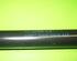 Gas Spring SKODA SCALA (NW1)