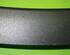 Trim Strip Mudguard TESLA MODEL X (5YJX)