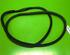 Door Seal OPEL Insignia B Grand Sport (Z18)