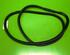 Door Seal OPEL Insignia B Grand Sport (Z18)