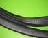 Door Seal AUDI A4 Avant (8ED, B7)