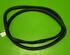 Door Seal OPEL Insignia A (G09)