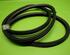 Door Seal VOLVO V70 II (285), VOLVO XC70 CROSS COUNTRY (295)