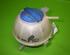 Coolant Expansion Tank SEAT Ibiza IV (6J5, 6P1), SEAT Ibiza IV Sportcoupe (6J1, 6P5), VW Polo (9N)