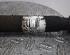 Drive Shaft DACIA SANDERO