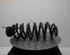 Coil Spring SKODA ROOMSTER (5J)