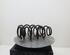 Coil Spring SUZUKI Alto (GF)