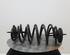 Coil Spring VW Beetle (5C1, 5C2)