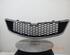 Radiator Grille CHEVROLET SPARK (M300)